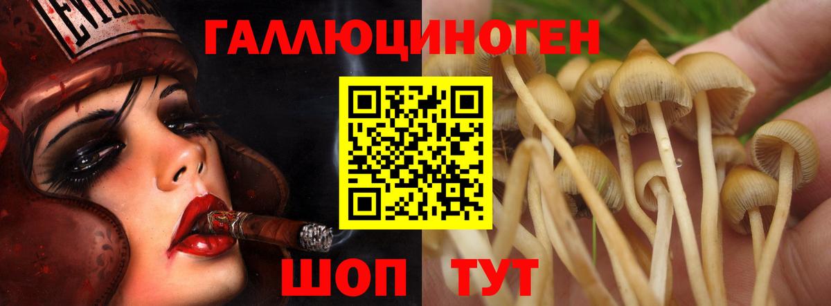 Галлюциногенные грибы мухоморы  Галлюциногенные грибы Psilocybe  Кропоткин  Вход с VPN 
