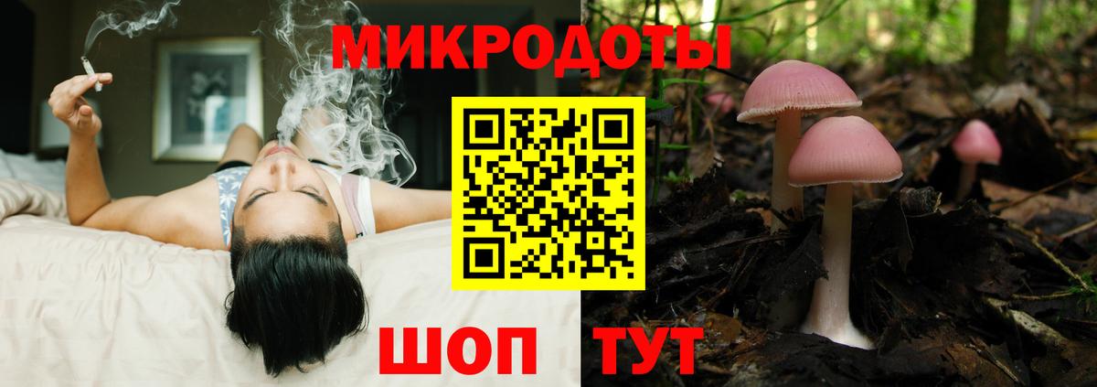 Псилоцибиновые грибы мицелий Кропоткин